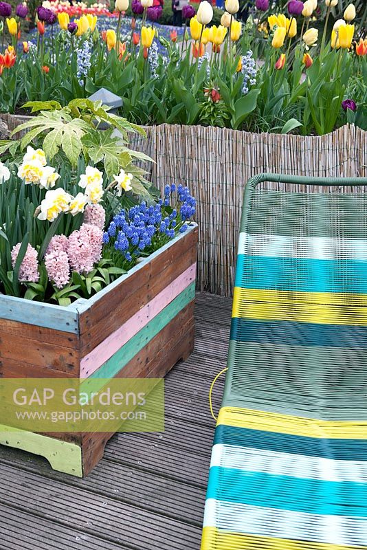 Wooden box filled with muscari, hyacinth and narcissus. Beach chairs in bright colours. Beach-inspiration garden at Keukenhof 2017.