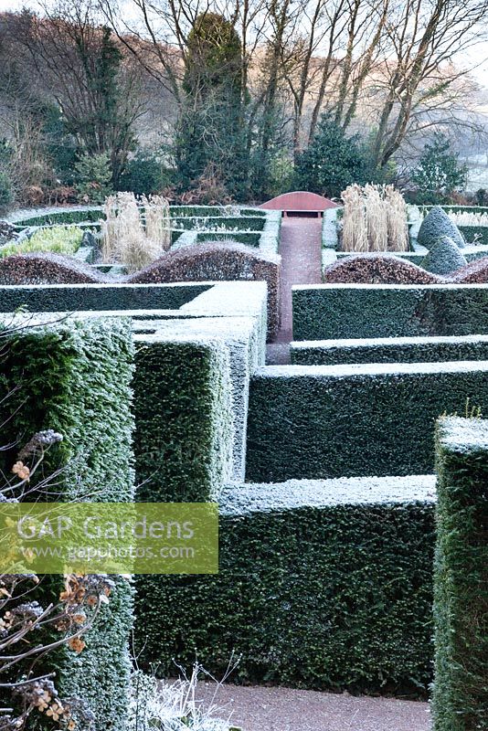 View through the Hedge Graden to the Grasses Parterre. Hedges of Taxus baccata. Wave-form hedge of Fagus sylvatica. Veddw House Garden