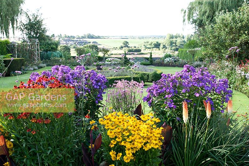 Border with Helenium 'Moerheim Beauty' Verbena bonariensis Kniphofia 'Toffee Nosed' - Red Hot Poker Canna Helenium 'Riverton Beauty' and Phlox paniculata 'Eventide' with views overlooking countryside Cheshire July