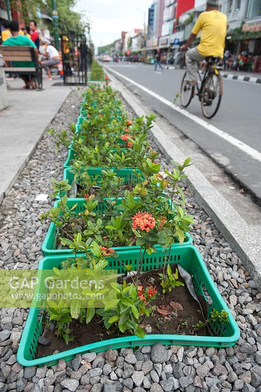 Yogyakarta Indonesia Urban park Malioboro street the main shopping street of the city lined with baskets containing flowers.