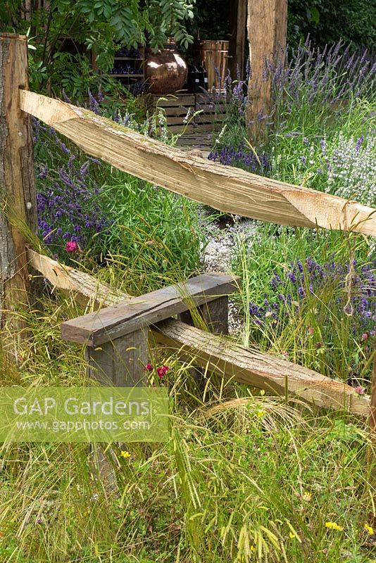 Wooden Style with rustic fencing. The Lavender Garden designed by Sara Warren, Donna King and Paula Napper. Hampton Court 2016. Gold Medal Winner