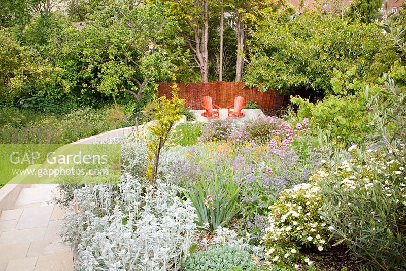Terraced beds alongside stone steps leading to patio with bright red painted decorative chairs with Judas tree, Cistus, Stachys, Centranthus ruber, Jerusalem Sage, Papaver rupifragum and Borage