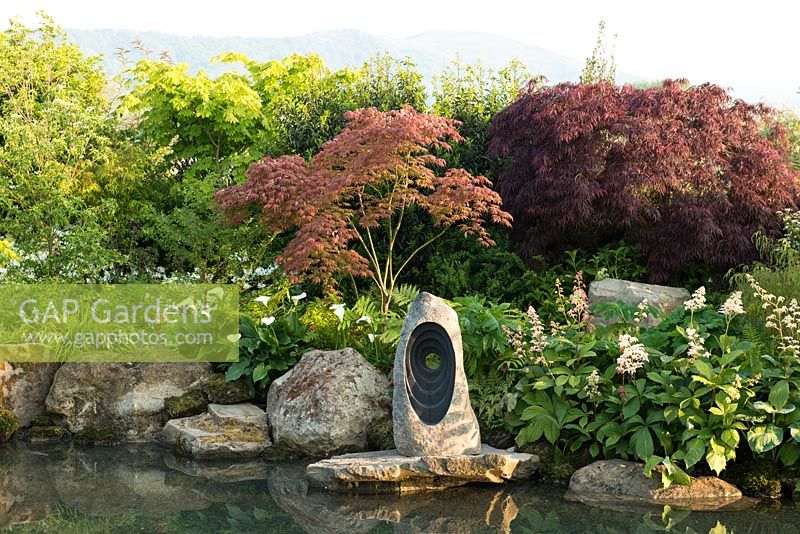 Japanese style garden with Acer palmatum, Zantedeschia aethiopica and Gunnera manicata surrounding a pond, sculpture by Matthew Maddocks  - 'At One With .... A Meditation Garden' - Howle Hill Nursery, RHS Malvern Spring Festival 2017 - Design: Peter Dowle