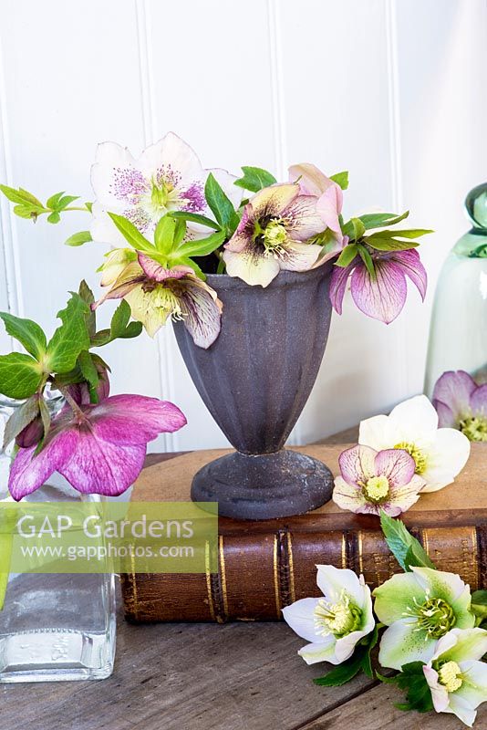 Hellebores arranged in metal and glass containers on old books