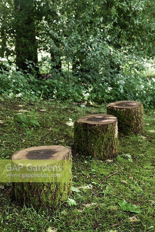 Stools made from sections of cut trees - July, Craigieburn, Moffat, Scotland