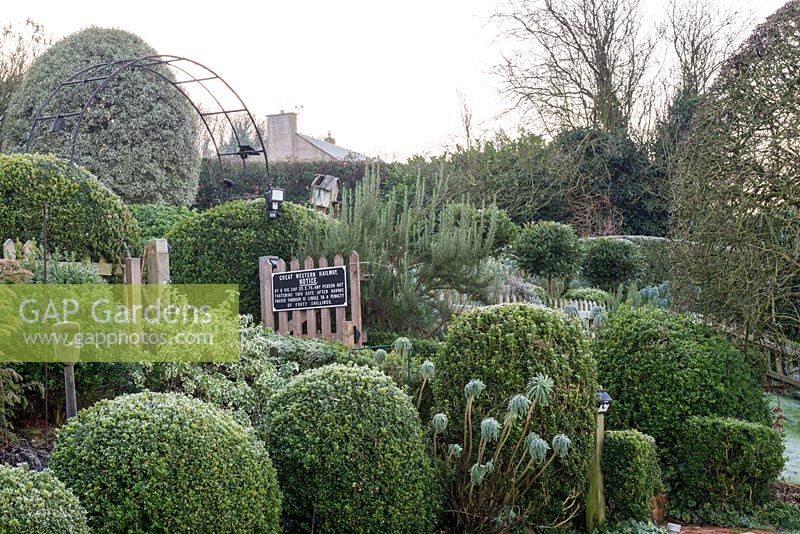 Clipped evergreens fill the border in winter