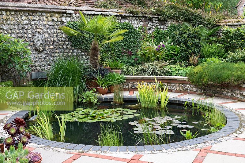 A walled garden containing a pond with irises and waterlilies, raised bed and Trachycarpus fortunei palm in container.