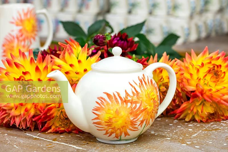 A glazed teapot, hand decorated with a design based on Dahlia 'Alfred Grille'.