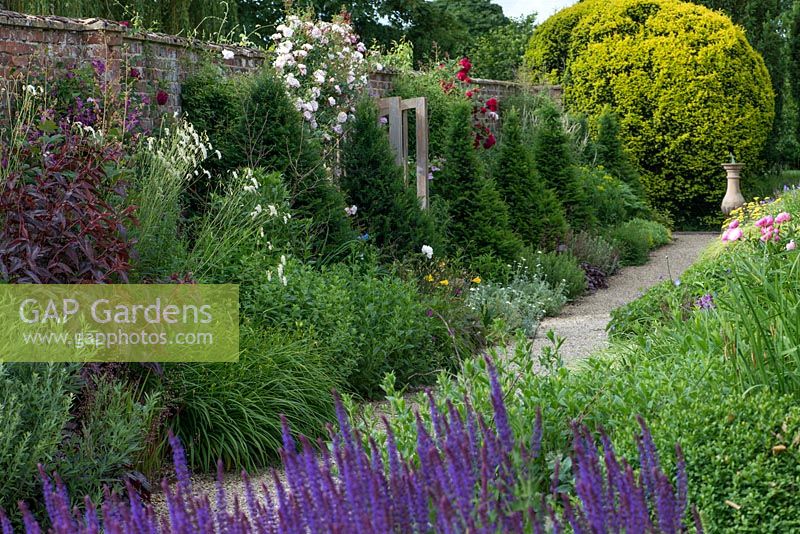 Tall cones of yew punctuate a herbaceous border, adding structure in winter, and a foil to summer's flowers.