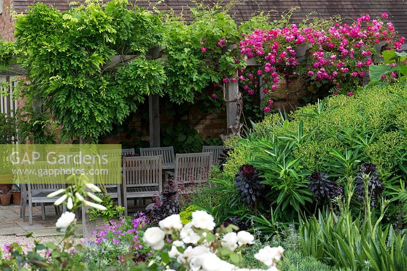 A patio dining area beneath a wooden pergola covered with wisteria, grape vine and rambling rose.