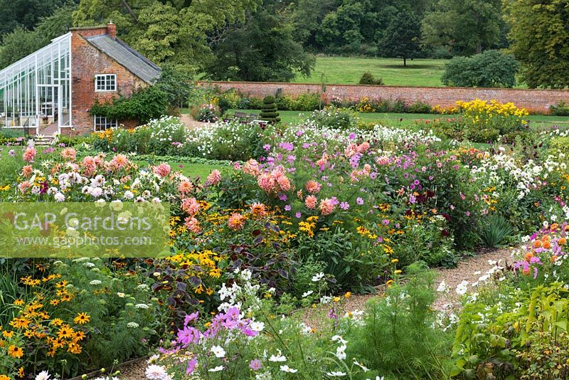 The Walled Garden at Kelmarsh Hall planted with colourful late summer borders including Dahlia, Cosmos and Rudbeckia. The borders are at their peak in September for the Dahlia festival.