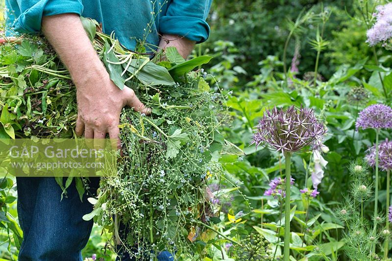 Gardener carrying spent plants and weeds - May - Oxfordshire