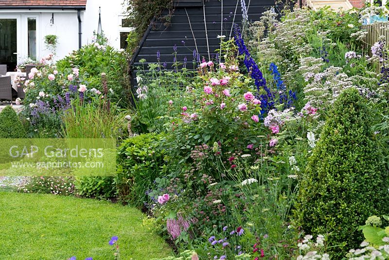 Cottage style herbaceous border is planted with Rosa 'Sister Elizabeth', Delphinium 'Excalibur', Astrantia, Scabious, Valerian, Campanula, Agastache and wild carrot.