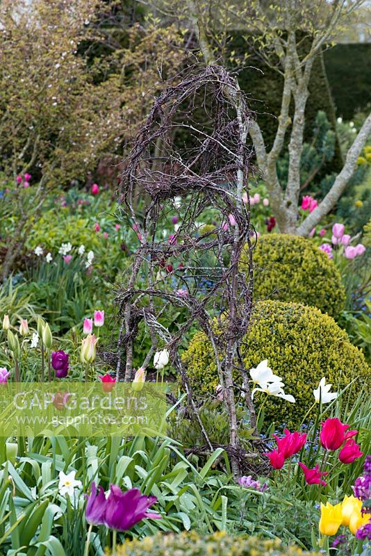 A colourful spring border with tulips surrounding a hand woven silver birch clematis support.