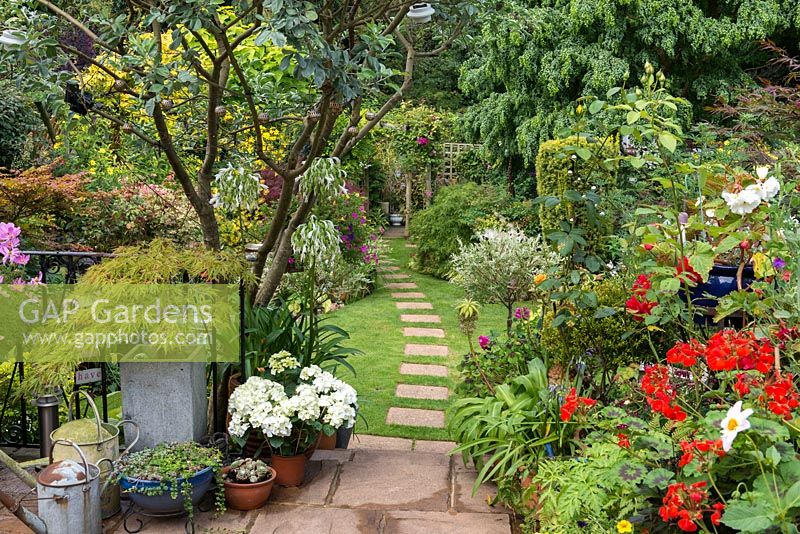 From raised terrace, steps descend to stepping stone path leading over lawn to work area at rear of small suburban garden.