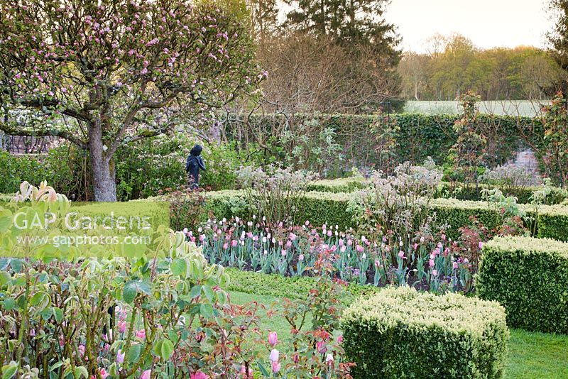 Walled garden in spring with mixed pink Tulipa 'Palestrina', Tulipa 'Pink Diamond', Myosotis 'Rosylva' and clipped hedges with decorative sculpture. Garden: Pashley Manor, Sussex