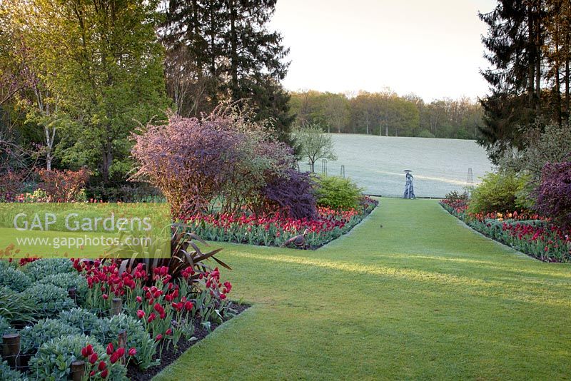 Formal spring garden with colourful tulip display including Tulipa 'Roulette', Tulipa 'Ballerina', Tulipa 'Fly Away', Tulipa 'Lasting Love' and Tulipa 'Avignon'. Garden: Pashley Manor, Sussex