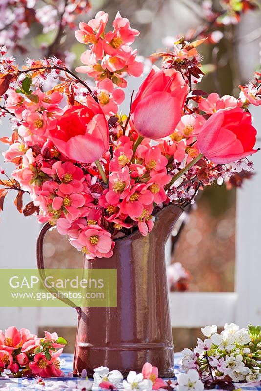 Display of red spring flowers in a jug. Tulips, red cherry plum and Chaenomeles japonica