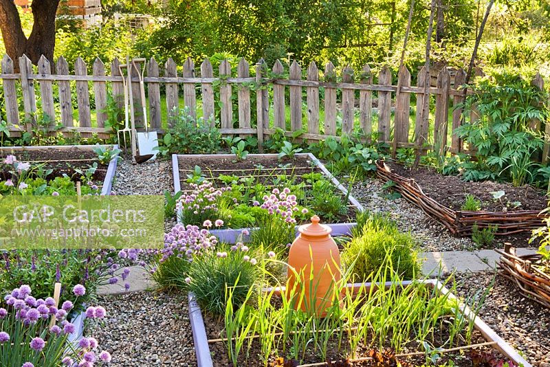 Herb and vegetable garden in May.