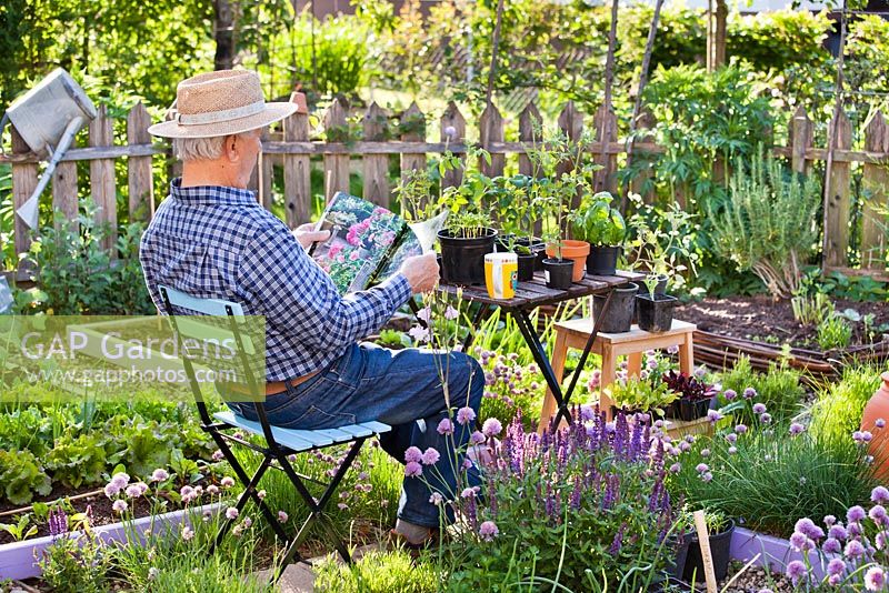 Man relaxing with cup of tea and a garden magazine in spring vegetable and herb garden.