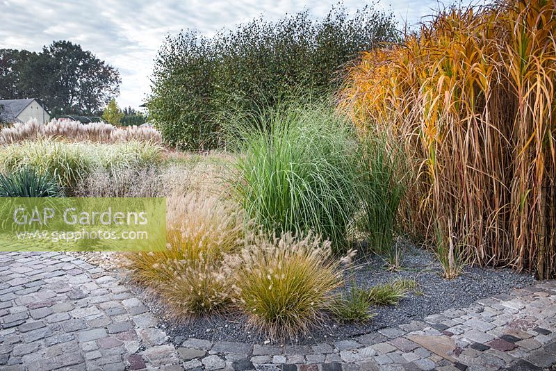 Autumnal borders with ornamental grasses