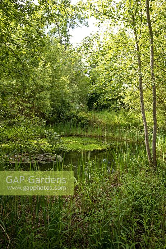 Festival International des Jardins 2017, Domaine de Chaumont sur Loire, France - unplanted ex-garden area, used as wildlife domain with pond