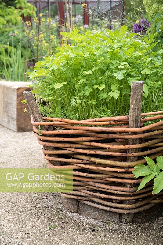 Le Potager du Domaine, The Estate Vegetable Garden - Festival International des Jardins 2017, Domaine de Chaumont sur Loire, France - basketweave planter