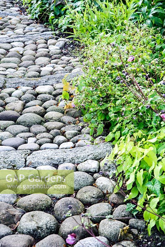 A path of cobbles and stone edged with epidmedium leads through the woodland garden.