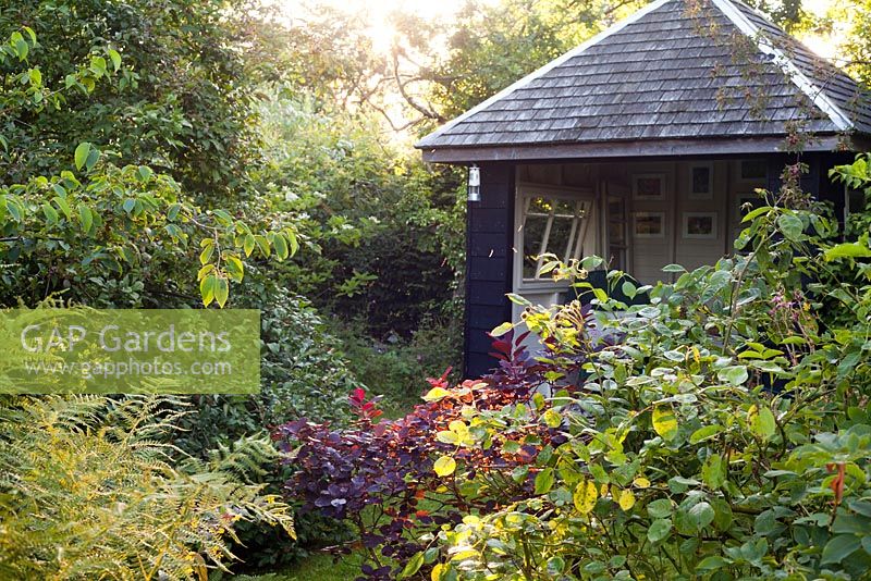Secluded summerhouse in woodland garden. Garden: Rustling End Cottage, Hertfordshire. Owners: Mr and Mrs Wise