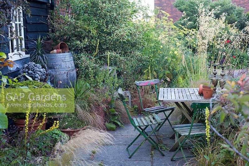 Attractive late summer planting around patio with old decorative barrel, terracotta pots, shrubs, grasses and verbascum. Garden: Rustling End Cottage, Hertfordshire. Owners: Mr and Mrs Wise

