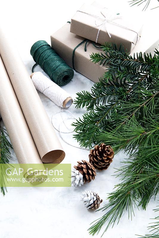 Wrapped presents using brown paper with items to gift wrap and decorate: with reels of string and greenery from fir tree, yew tree and silvery foliage with half dipped pine cones