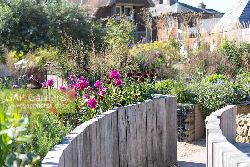 Wooden raised flower bed and gravel path with late summer mixed border behind. Jo Thompson garden Design, Ticehurst, East Sussex