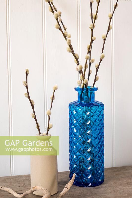 Pussy willow stems displayed in blue glass and pottery bottles