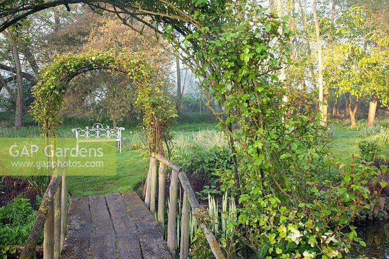Rosa on archway over wooden bridge with decorative seat beyond in spring. Garden: Ulting Wick, Essex. Owner: Philippa Burrough