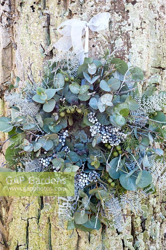 Christmas wreath with eucalyptus, juniper berries and sprayed white fern leaves, ivy berries and twigs hanging on tree trunk