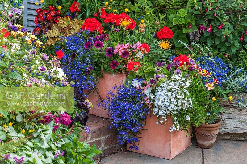 Mixed annuals in containers at Driftwood garden