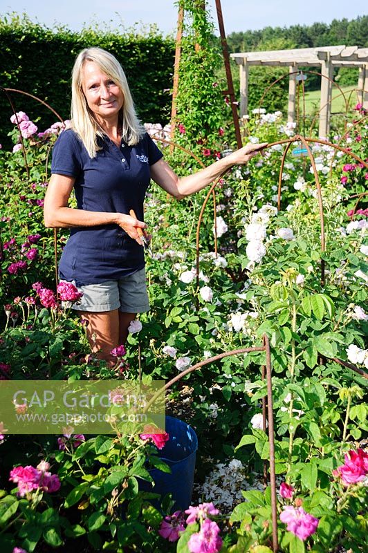 Lindsey Ellis, Head Gardener. Felley Priory, Underwood, Notts, UK
