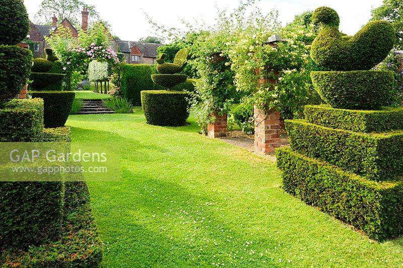 Yew topiary in the form of peacocks and swans. Felley Priory, Underwood, Notts, UK