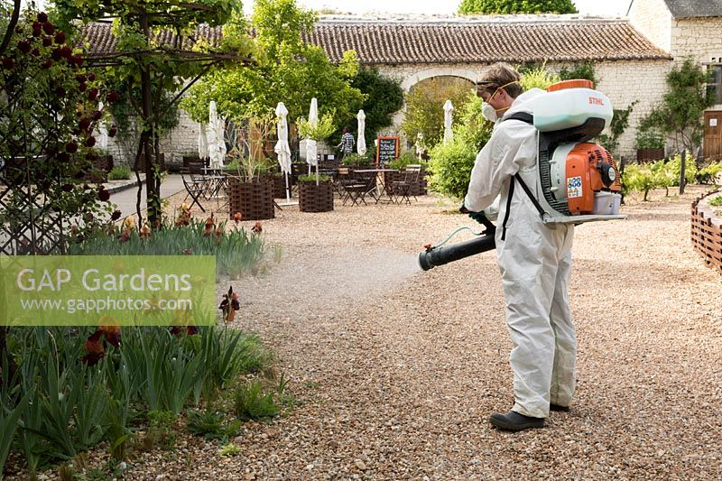 STIHL back mounted mistblower in use. This sprayer is being used to spread a biological treatment, not pesticides. Chateau and gardens of Le Rivau, Loire Valley, France.  