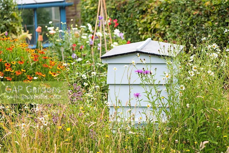 Informal country cottage garden with wildflower area and traditional Beehive.