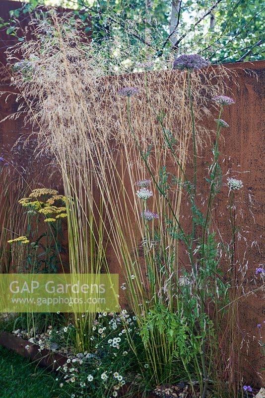 Dauca carota 'Dara' with Deschampsia cespitosa 'Garnet Schist' - Brownfield Metamorphosis, RHS Hampton Court Palace Flower Show 2017