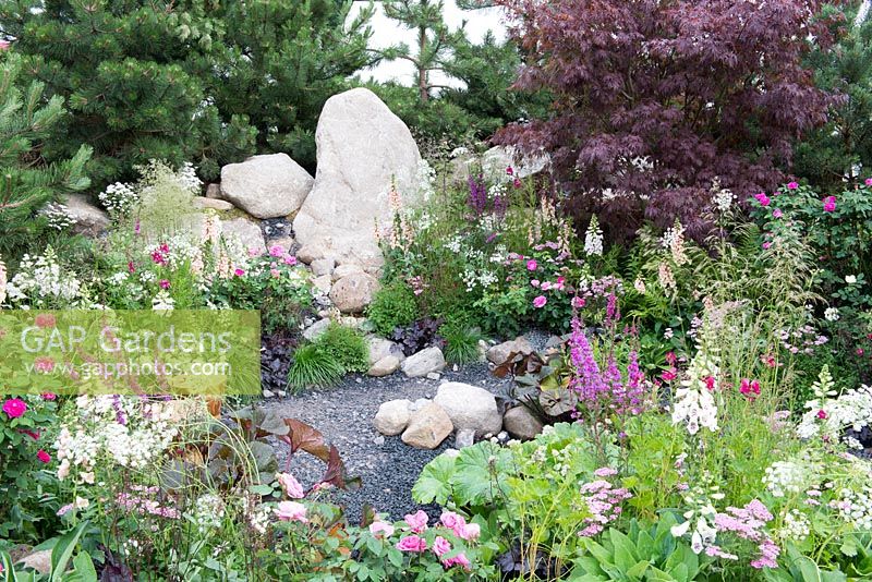 Acer and Pine trees provide a backdrop to a gravel garden full of Digitalis, Stipa gigantea and Roses -  Great Gardens of the USA The Oregon Garden, RHS Hampton Court Palace Flower Show 2017