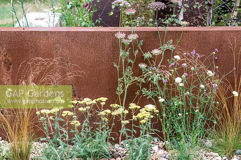 Dauca carota 'Dara' with Achillea 'Moonshine', Verbena bonariensis and Deschampsia cespitosa 'Garnet Schist' - Brownfield Metamorphosis, RHS Hampton Court Palace Flower Show 2017