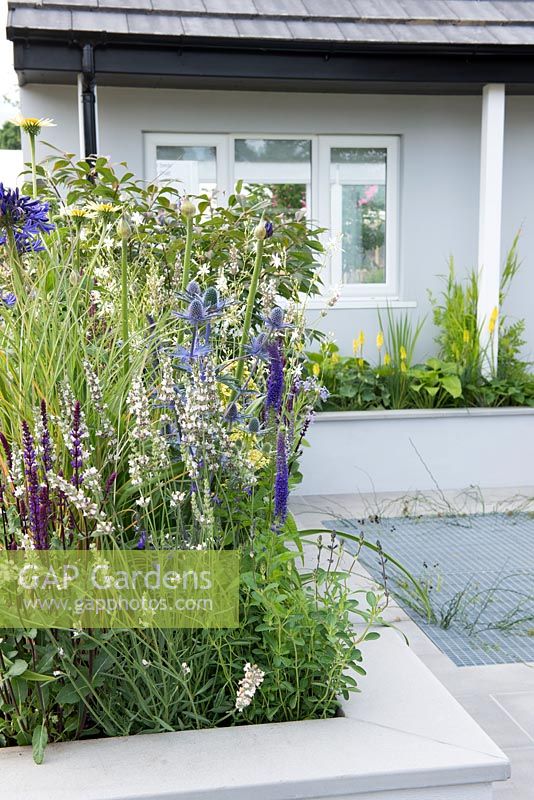 Raised bed with Eryngium 'Big Blue', Lavandula 'Edelweiss', Salvia 'Caridonna' and Agapanthus 'Navy Blue' - The Urban Rain Garden, RHS Hampton Court Palace Flower Show 2017