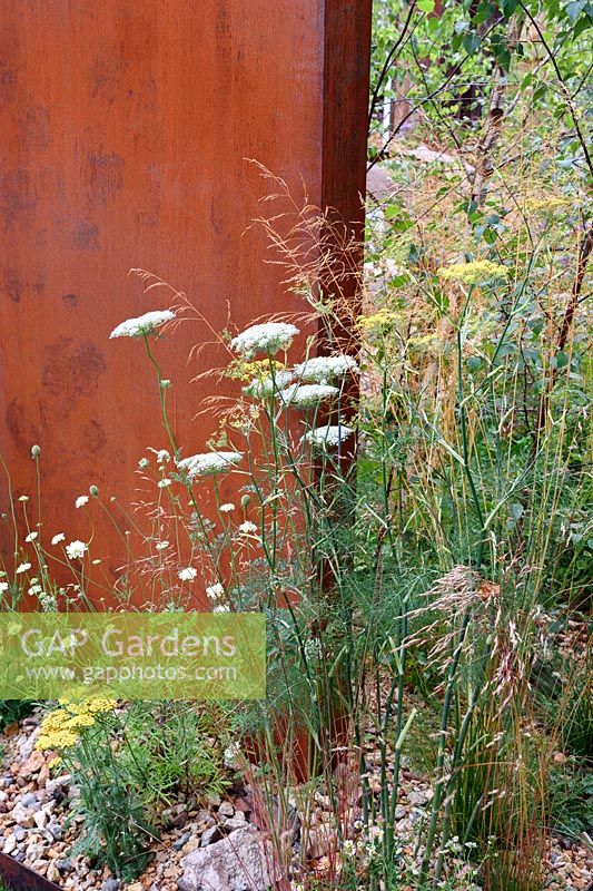 Brownfield- Metamorposis. Grasses and umbels against rusty red of steel. Design: Martyn Wilson. Sponsors: St. Modwen. RHS Hampton Court Palace Flower Show 2017