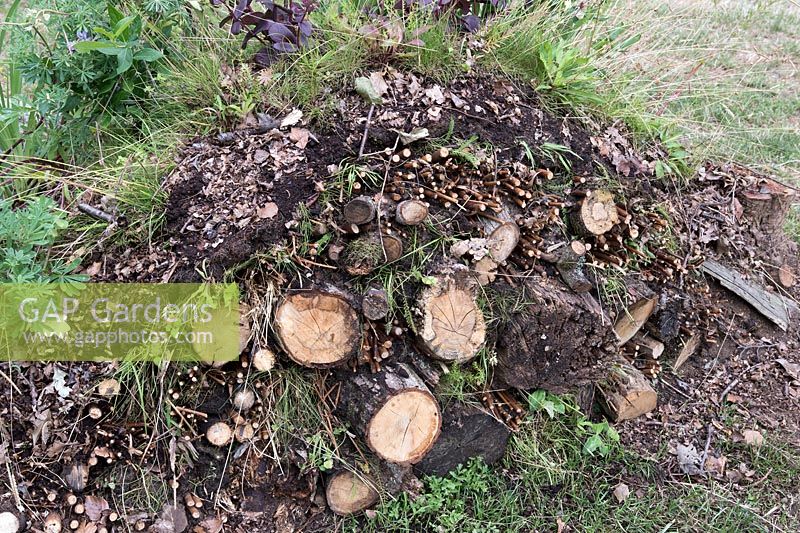 The London Glades. Bamboos, sticks and branches in earth mound creating insect hotel. Designers: Andreas Christodoulou and Jon Davies. RHS Hampton Court Palace Flower Show 2017
