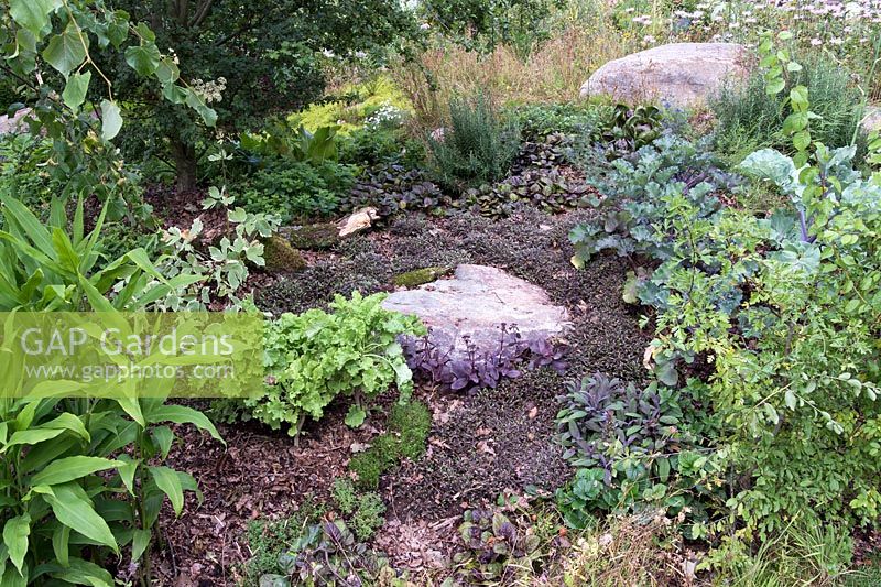 The London Glades. Edibles and herbs in the glade garden. Designers: Andreas Christodoulou and Jon Davies. RHS Hampton Court Palace Flower Show 2017