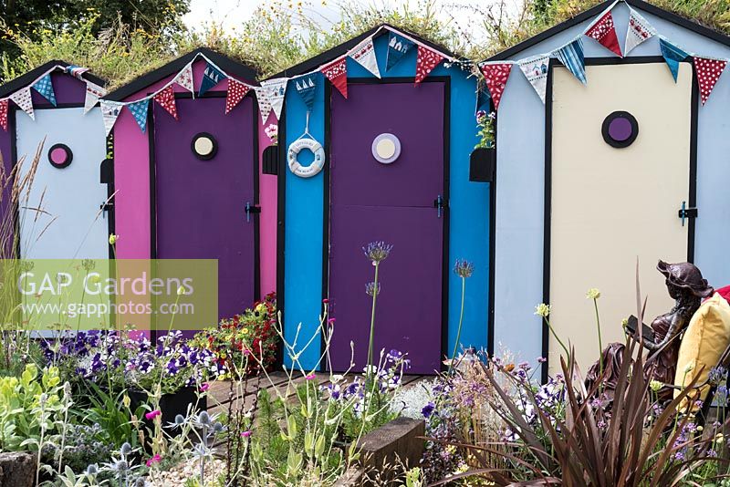 Summer planting in front of a row of beach huts.  Plants included: Petunias, Agapanthus, Eryngium giganteum, Lychnis coronaria and Verbena bonariensis.  Designed by: Tony Wagstaff