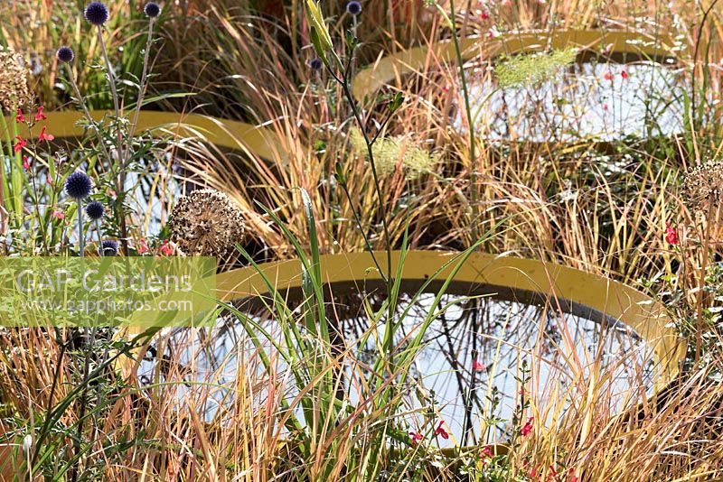 Yellow pools of water in the Kinetica conceptual garden are encircled by New Zealand wind grass, Anemanthele lessoniana. Designed by: John Warland of Senseless Acts of Beauty