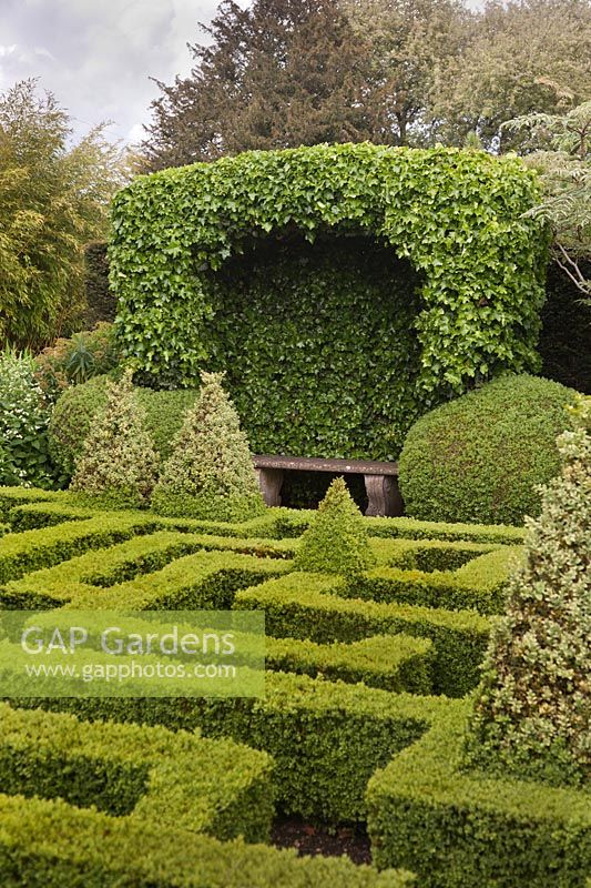 The Knot Garden with low hedges and pyramids of box and ivy enclosed stone bench - June, Bourton House, Bourton-on-the-Hill, Moreton-in-Marsh, Gloucestershire, UK
